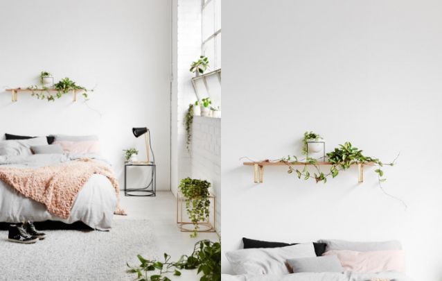 Plantas são queridinhas para compor a decoração de um pequeno quarto Plantas são queridinhas para compor a decoração de um pequeno quarto